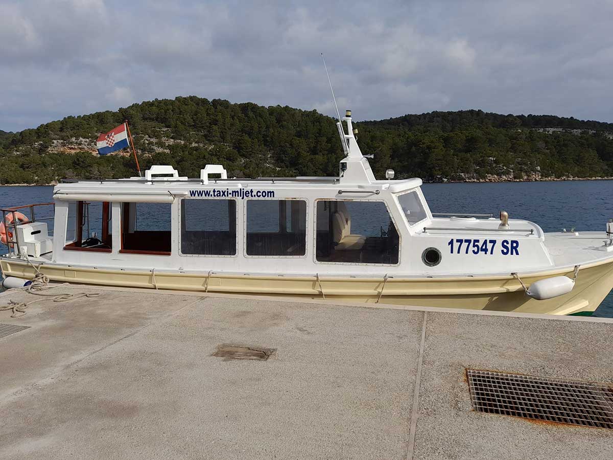 Excursion by Taxi Mljet